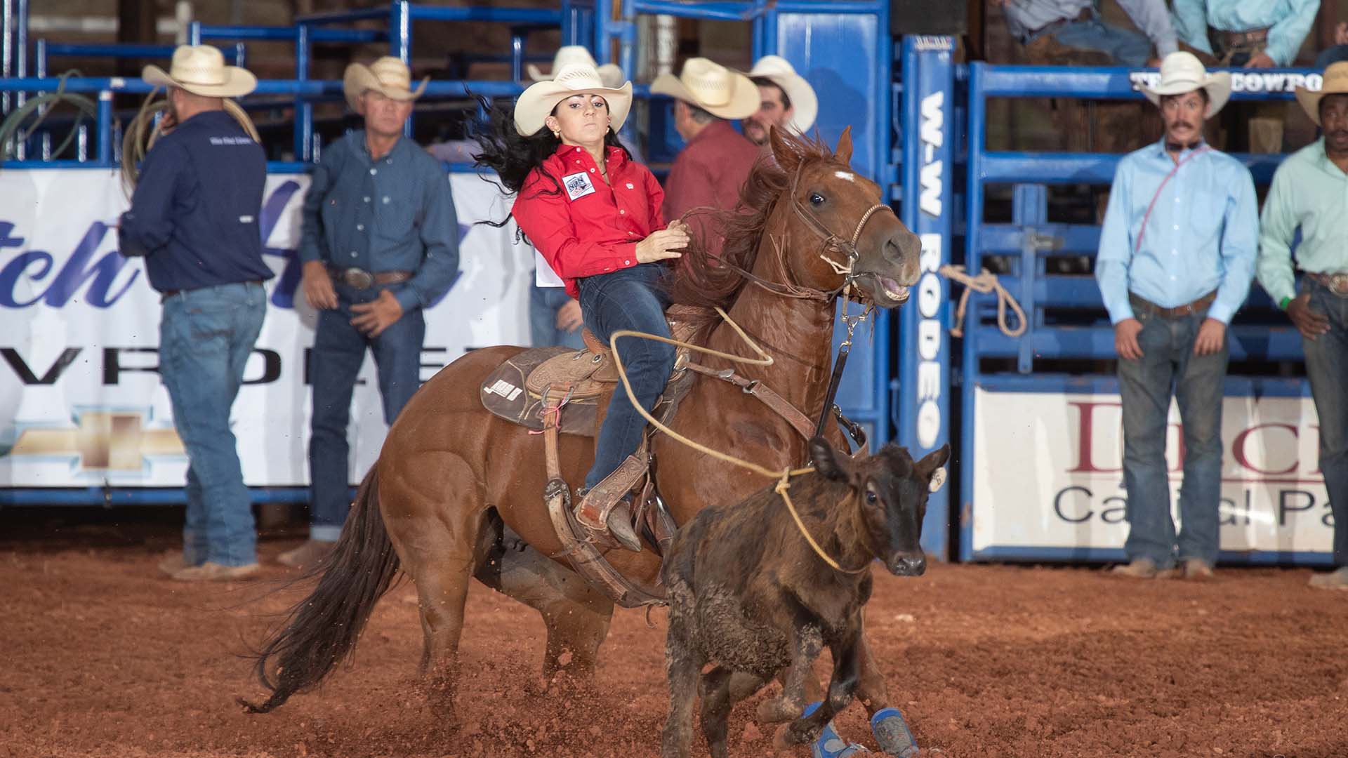 Breakaway - Texas Cowboy Reunion