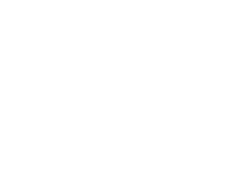 TCR_GOOGLE_Brand_white